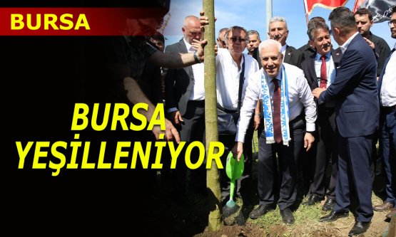 Bursa Büyükşehir, ‘Daha yeşil Bursa' için çalışıyor