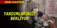 Minik Bedenin Çığlığını Bursalılar Duydu