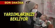 Minik Bedenin Çığlığını Bursalılar Duydu